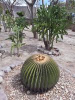 Mexiko Rundreise - Kolonialstädte. Mayakultur, Karibik