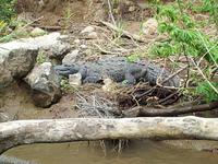 Sumidero Schlucht - Mexiko Rundreise - Kolonialstädte. Mayakultur, Karibik