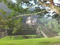 Palenque - Mexiko Rundreise - Kolonialstädte. Mayakultur, Karibik