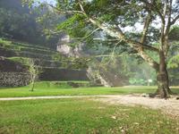 Palenque - Mexiko Rundreise - Kolonialstädte. Mayakultur, Karibik