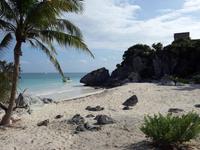 Tulum - Mexiko Rundreise - Kolonialstädte. Mayakultur, Karibik