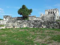Tulum - Mexiko Rundreise - Kolonialstädte. Mayakultur, Karibik