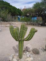 Mexiko Rundreise - Kolonialstädte. Mayakultur, Karibik