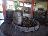 Mexiko Rundreise - Kolonialstädte. Mayakultur, Karibik