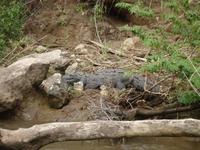 Mexiko Rundreise - Kolonialstädte. Mayakultur, Karibik