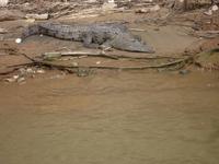 Mexiko Rundreise - Kolonialstädte. Mayakultur, Karibik