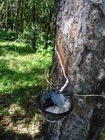 Mexiko Rundreise - Kolonialstädte. Mayakultur, Karibik