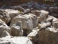 Mexiko Rundreise - Kolonialstädte. Mayakultur, Karibik