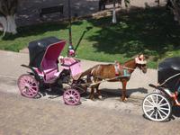 Mexiko Rundreise - Kolonialstädte. Mayakultur, Karibik