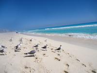 Mexiko Rundreise - Kolonialstädte. Mayakultur, Karibik