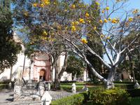 Mexiko Rundreise - Kolonialstädte. Mayakultur, Karibik