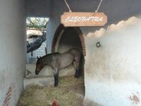 Mexiko Rundreise - Kolonialstädte. Mayakultur, Karibik