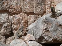 Mexiko Rundreise - Kolonialstädte. Mayakultur, Karibik