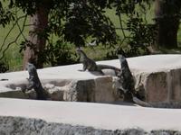 Mexiko Rundreise - Kolonialstädte. Mayakultur, Karibik