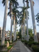 Hacienda Vista Hermosa