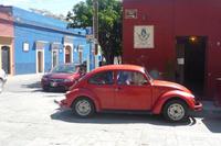 Typisch mexikanisch in Oaxaca