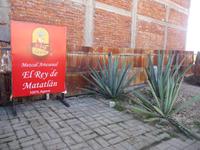 Mezcal Distillerie