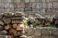 Bewohner von Uxmal