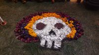 Blumentotenkopf