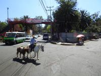 Mexiko City