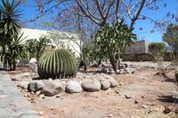 Mitla