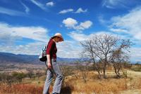 Monte Alban