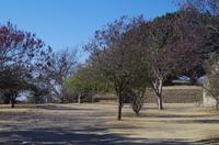 Monte Alban