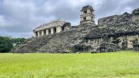 Palenqué, Palenque, Chiapas, Mexico