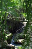 Palenque