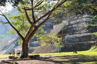 Palenque