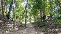 Parque Nacional Tikal, Flores, Peten, Guatemala