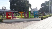 Tule