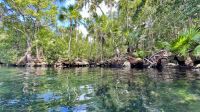 Xel-Há, Cozumel, Quintana Roo, Mexico, Caleta Xel-Ha