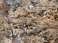 ... Cueva de Las Maravillas