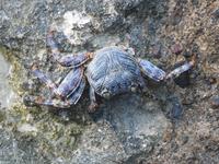 ... und deren Bewohnern