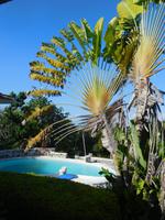 Besuch im Great House in Rio Nuevo