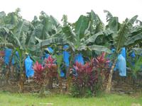 Sonntags leider geschlossen ...