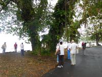 Wilde Küste von Puerto Limon - Costa Rica