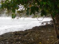 Am Rande des Nationalparks Cahuita