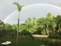 Nach einem tropischen Regenguss ...