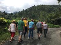 Spaziergang in den Blue Mountains
