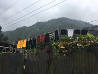 Das Leben in Jamaika