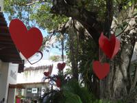 In Playa del Carmen ...