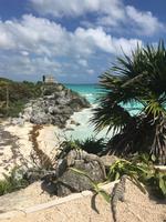 Tulum - die wohl schönste Maya-Stätte überhaupt!