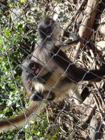 Besuch im Aktun Chen Nationalpark