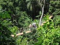 Nagelneue Hängebrücke - Abenteuer pur :-)!