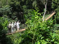 Nagelneue Hängebrücke - Abenteuer pur :-)!
