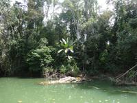 Auf den Kanälen von Tortuguero