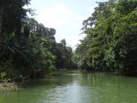 Auf den Kanälen von Tortuguero