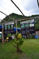 Besuch der Maroons (2)